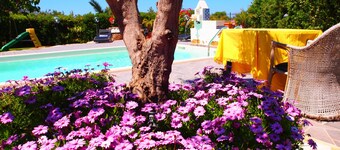 White Pearl Holiday House, PRIVATE POOL, FREE WI-FI, all the conforts