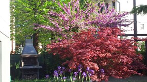 A garden with a variety of plants, including a tree with red leaves and purple flowers, and a stone structure.