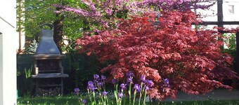 Villa Ada 2 - Comfort 10 minutes from Venice