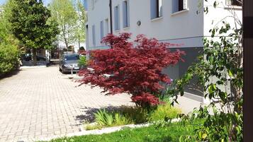 Área da propriedade