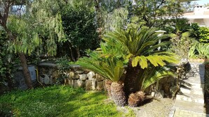 Un jardin avec un mur de pierre, un palmier et diverses autres plantes.