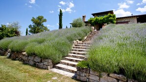 A stone staircase leading to a house with a tiled roof, surrounded by lavender fields. - Casale Delle Lavande 10, Emma Villas (Todi)