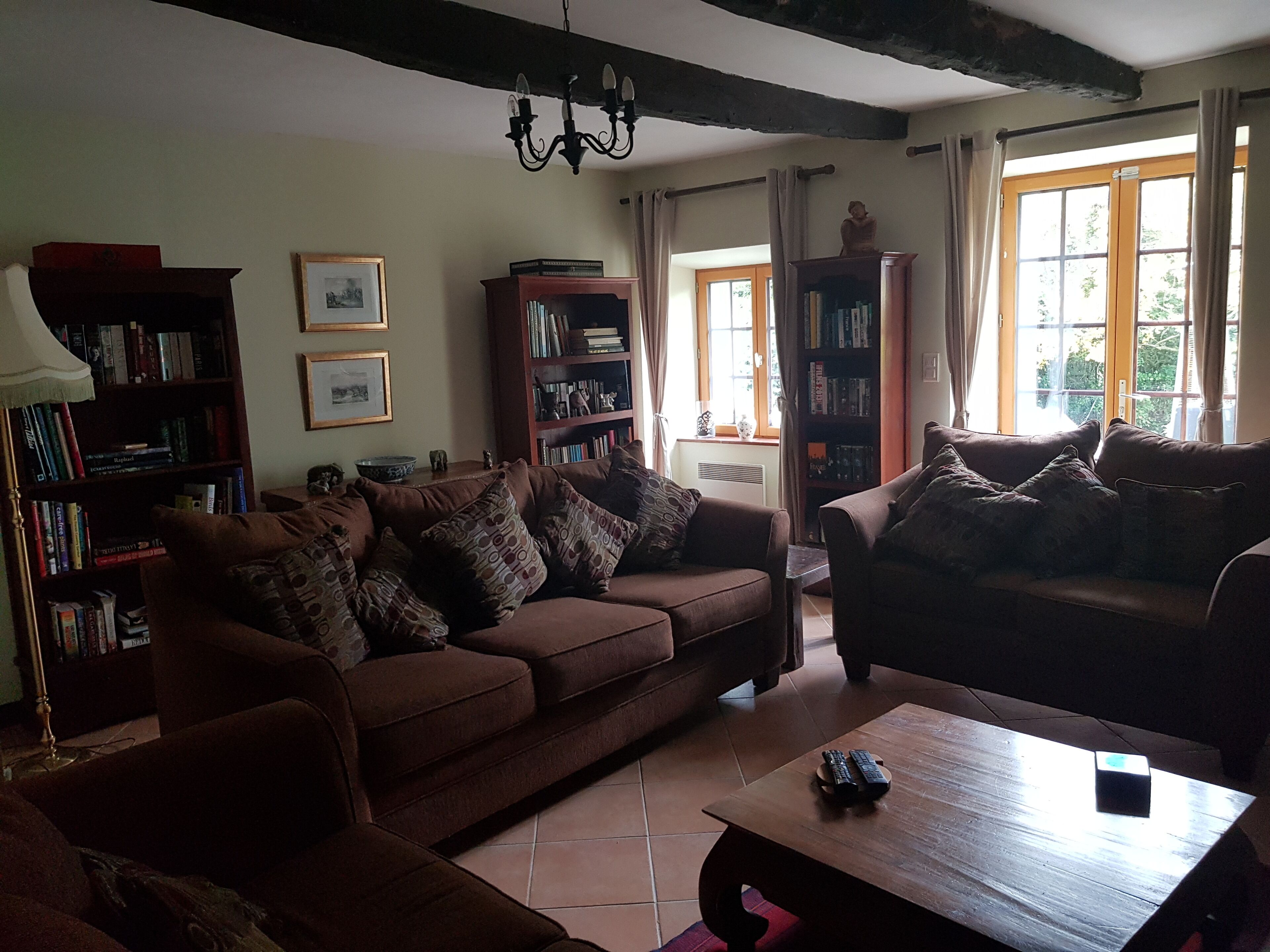 TV connectée, cheminée, lecteur de DVD, livres