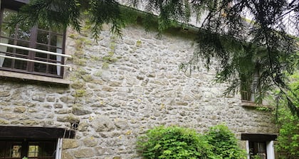 Schön Renoviertes Freistehendes Steinhaus