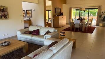 TV, fireplace, video games, DVD player