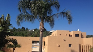A building with a flat roof and a satellite dish, surrounded by palm trees and a gravel courtyard. - Amazing Villa - Lagos (Lagos)