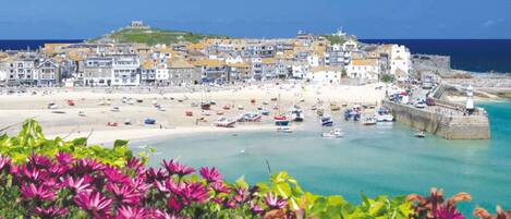 بالقرب من الشاطئ