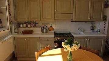 Fridge, oven, stovetop, coffee/tea maker