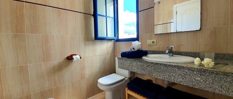A bathroom with a toilet, sink, and window.