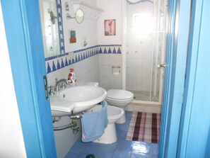 Shower, hair dryer, bidet, towels