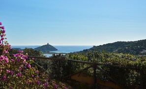 Vista desde la propiedad