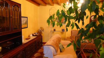 TV, fireplace, books