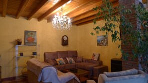 Televisie, een open haard en boeken