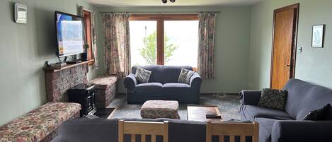 Smart TV, chimenea, reproductor de DVD