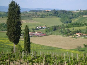 Golf - Holiday Home Butterfly (Ground Floor) Deep Tuscan Countryside (San Miniato)