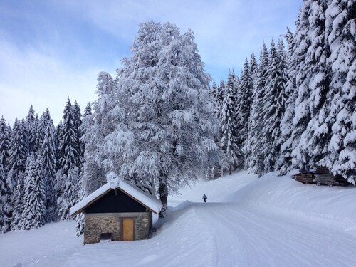 Spacious, family 3 bedroom duplex - only 50m from the ski slopes