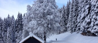 Spacious, family 3 bedroom duplex - only 50m from the ski slopes