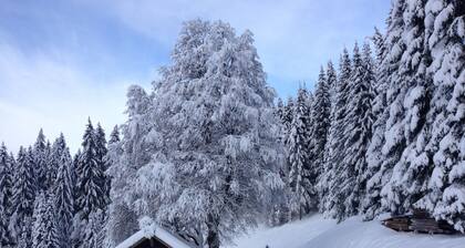 Spacious, family 3 bedroom duplex - only 50m from the ski slopes