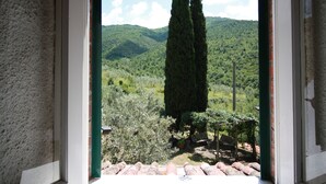 A view through a window of a mountainous landscape with two tall cypress trees and a garden area. - Farmhouse in the hills with panoramic view and swimming pool (Ristonchia)