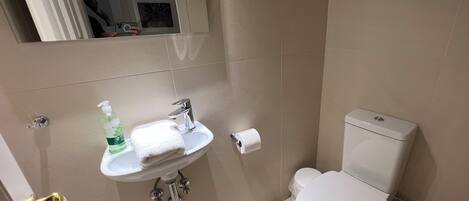 A bathroom with a white sink, a toilet, and a mirror.