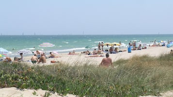 Ranta