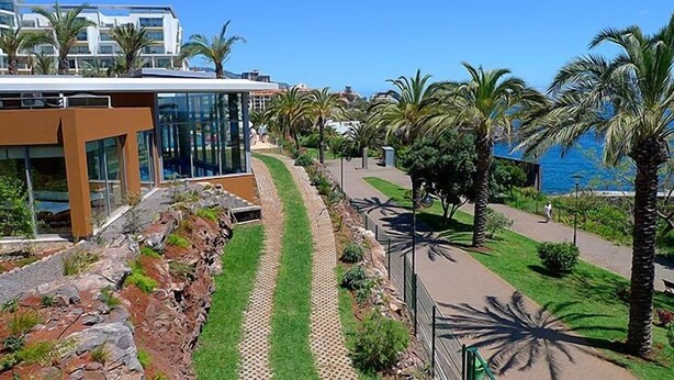 A modern building with a glass facade, a landscaped pathway, and palm trees. - Large three bedroom by the seaside promenade (Funchal)