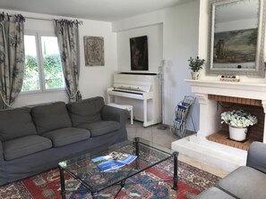Smart TV, chimenea, reproductor de DVD y libros 