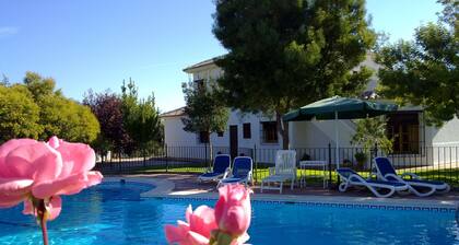 You'll already be thinking of coming back as you leave us!