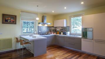 KĂŒhlschrank, Mikrowelle, Ofen, Herdplatte