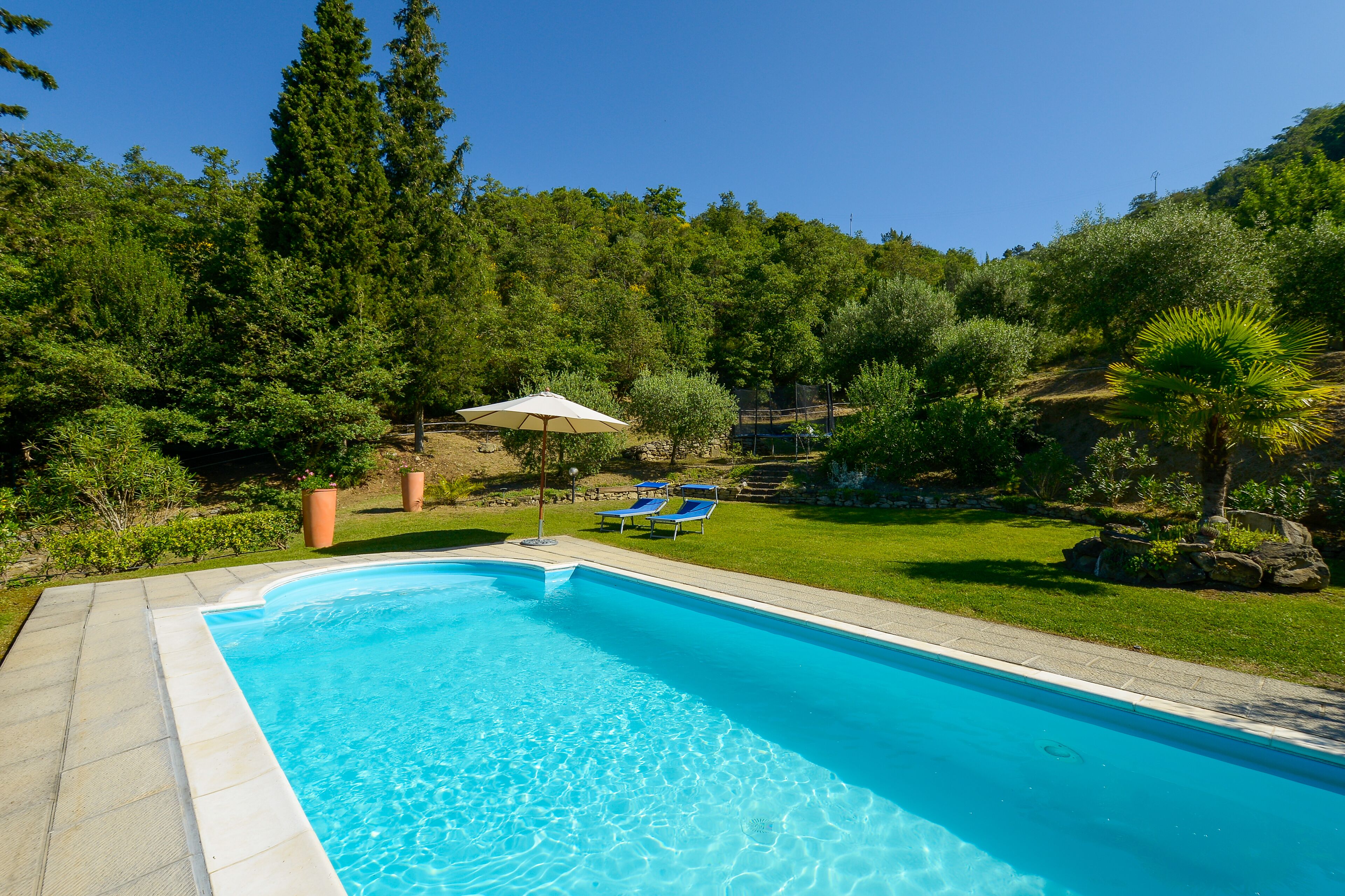 A swimming pool with a clear blue water, surrounded by a well-maintained lawn and trees.