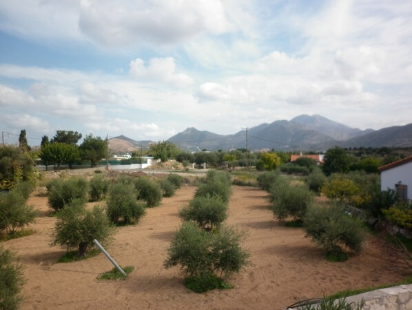 A rural landscape with a dirt path, green shrubs, and a mountain range in the background. - Spacious 3 bedroom Villa with private pool, patio and roof terrace. (Roumeli)