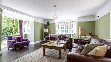 Smart TV, fireplace, video games, DVD player