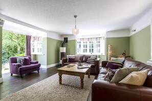 Smart TV, fireplace, video games, DVD player