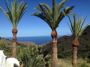 Tres palmeras con vista despejada al océano y colinas al fondo.