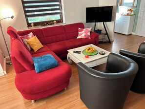 TV, fireplace, books, music library - Detached house and garden with a view of the Frauenstein castle ruins (Frauenstein)