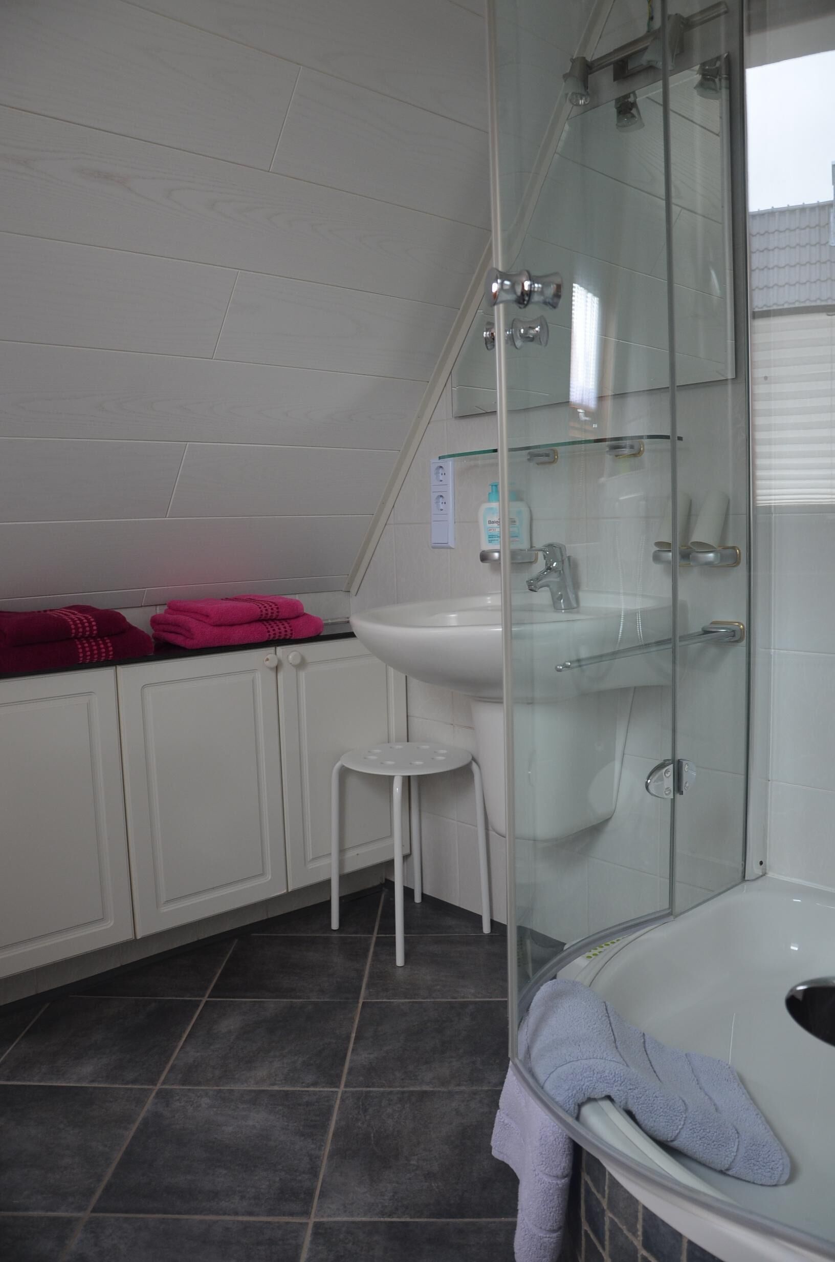 Dusche, Haartrockner, Bidet, Handtücher
