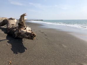 A beach with a large tree trunk lying on the sand near the water's edge. - Romantic, well-equipped house to relax! (Guardistallo)