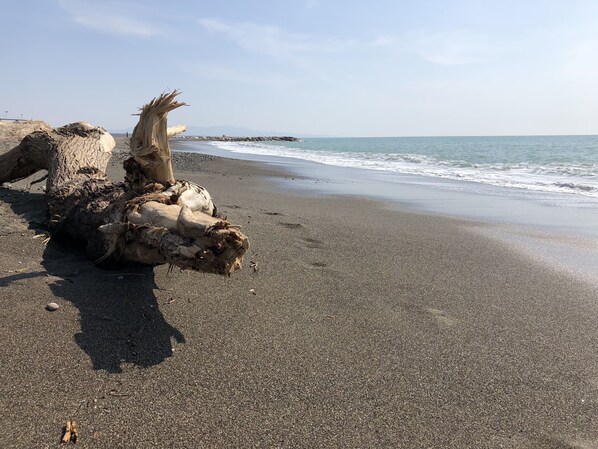 Playa en los alrededores y camastros