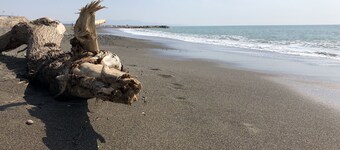 Romantic, well-equipped house to relax!