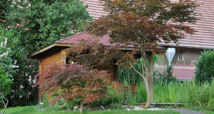 Top offer, free WiFi, high quality equipment, tranquility, large garden