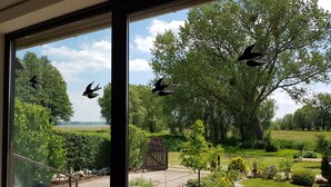 Blick aus einem Zimmer mit großen Fenstern auf einen Garten mit Bäumen, einer Rasenfläche und einer Holzterrasse.