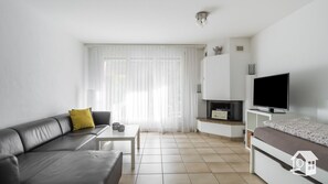 TV, fireplace, books