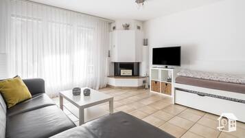 TV, fireplace, books