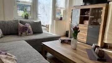 TV, DVD player, books, video library