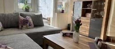 Televisión, reproductor de DVD, libros y videoteca