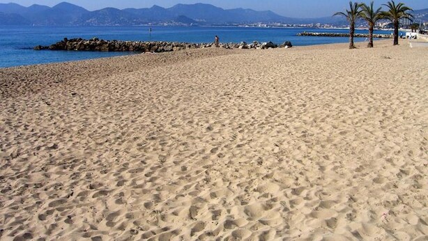 A sandy beach with a rocky breakwater and palm trees. - 4 *, BEACH / EVENTS, direct access to the beach, pool, garage, park. (Cannes)