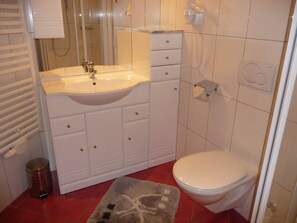 Shower, hair dryer, bidet, towels