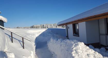 Holiday house in the quietly located holiday park Tennenbronn