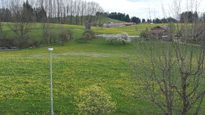 Paisaje rural con un campo de flores amarillas, una pequeña construcción de madera y algunos edificios al fondo.