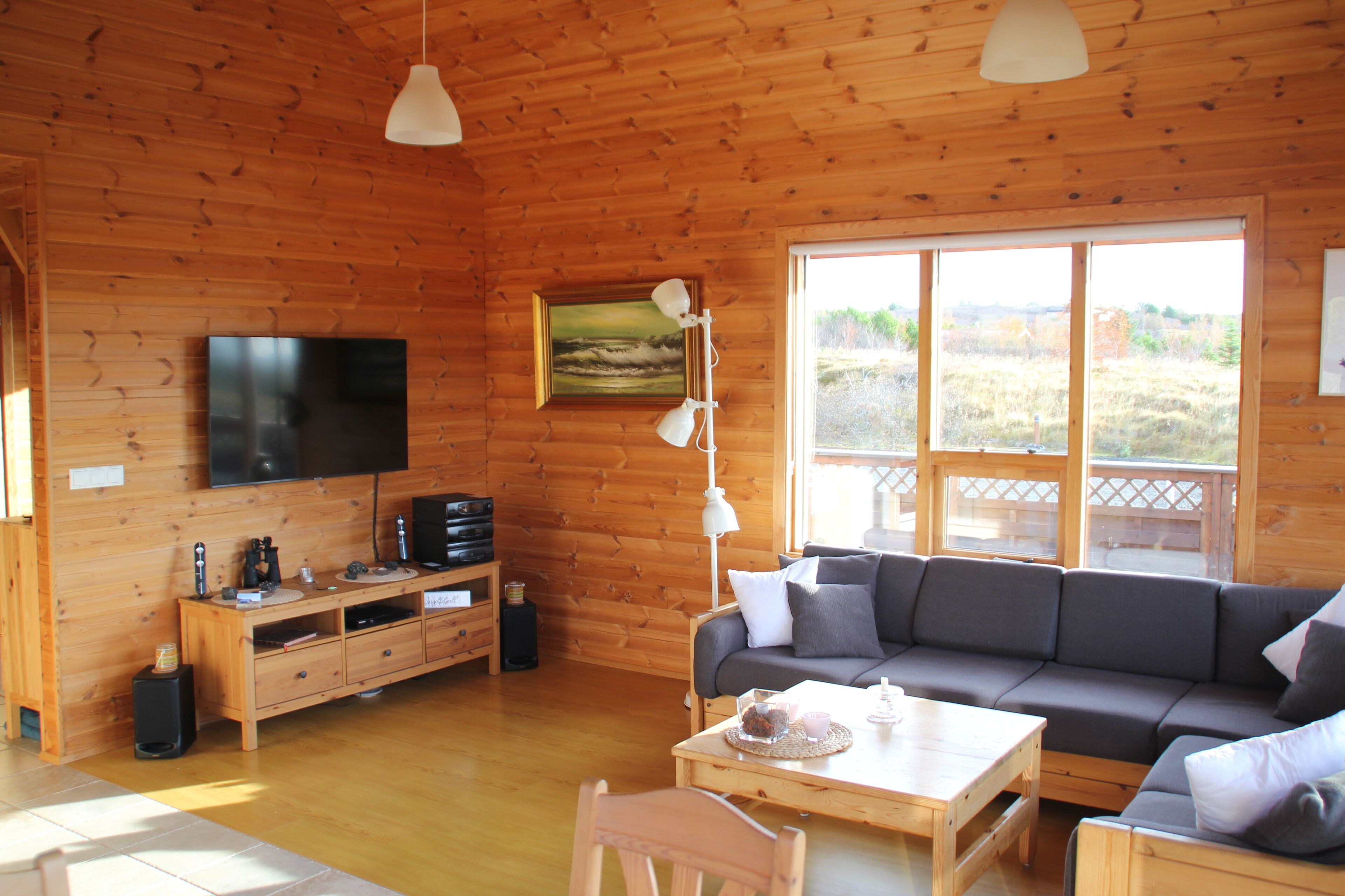 Smart TV, DVD player, books, music library